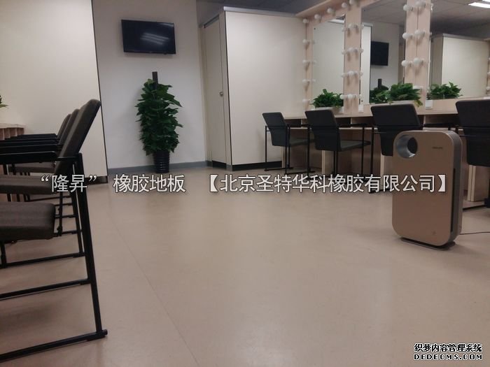 北京市天橋演藝劇場(chǎng)橡膠地板工程案例