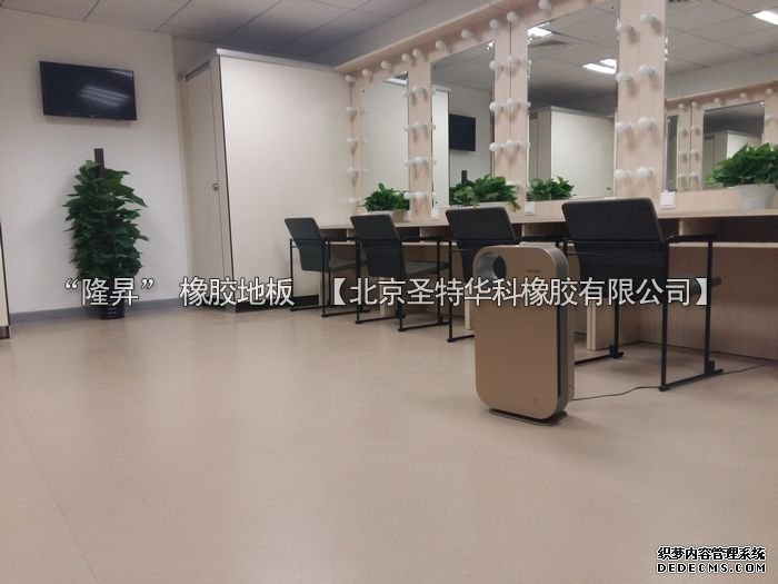 北京市天橋演藝劇場(chǎng)橡膠地板工程案例