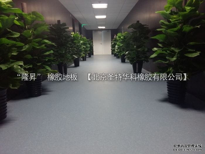 北京市天橋演藝劇場(chǎng)橡膠地板工程案例